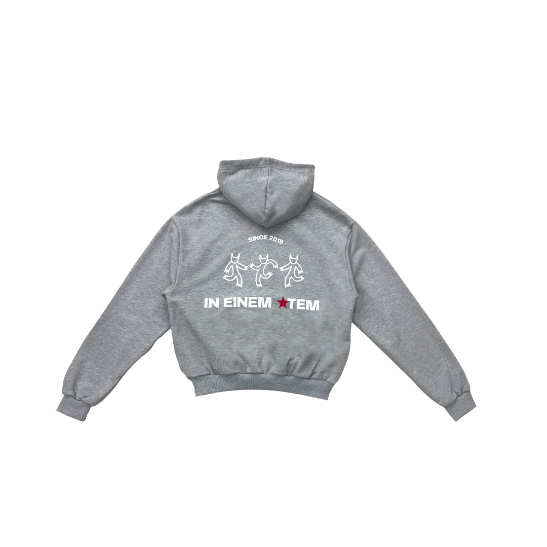 IEA ZIP UP HOODIE GRAY